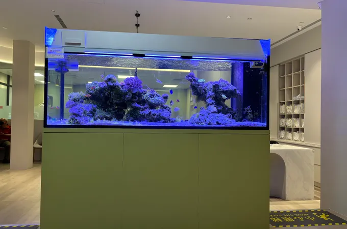 卓越美學牙醫診所 照片