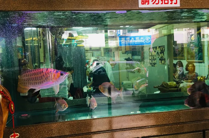 堂玉生診所 照片 2
