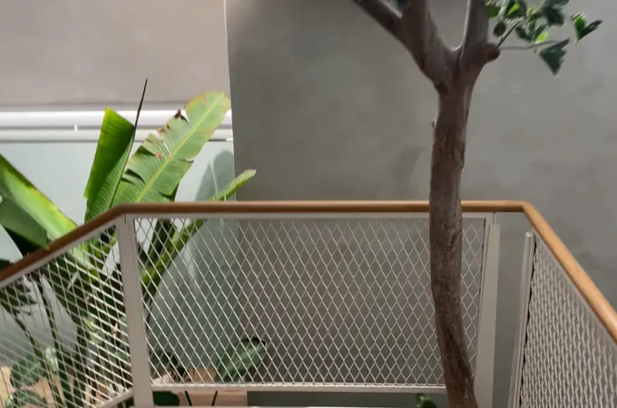家齡診所 照片