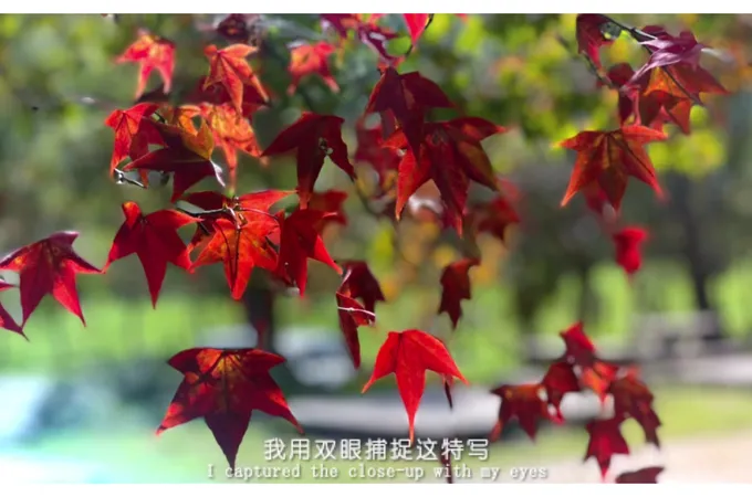 康然中醫診所 照片