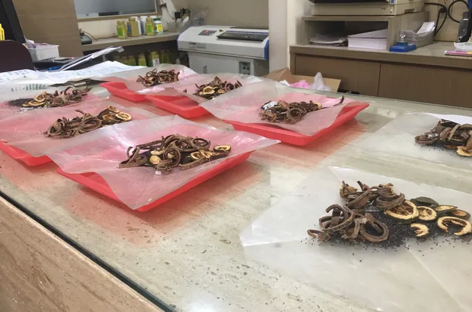 華雨中醫診所 照片 6