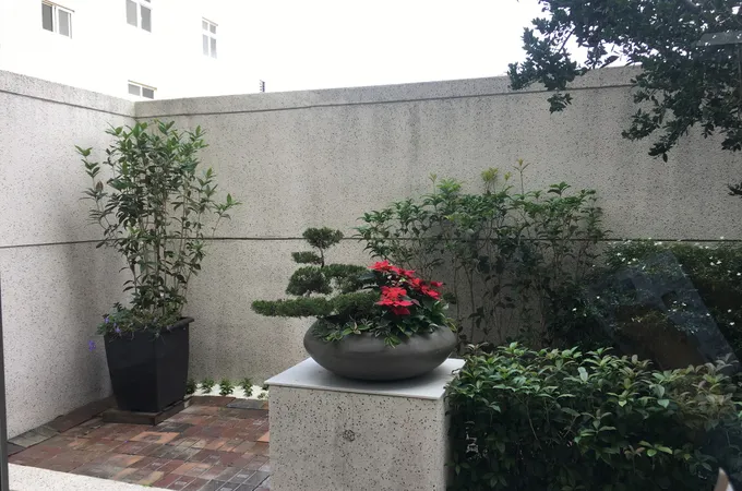 大墅診所 照片 3