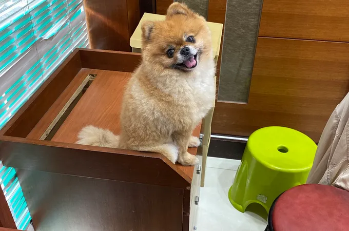 禾心堂中醫診所 照片