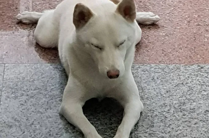 慶祐中醫診所 照片