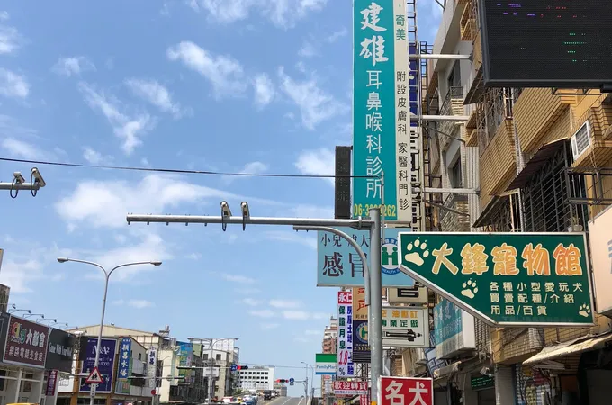 黃建雄耳鼻喉科診所 照片
