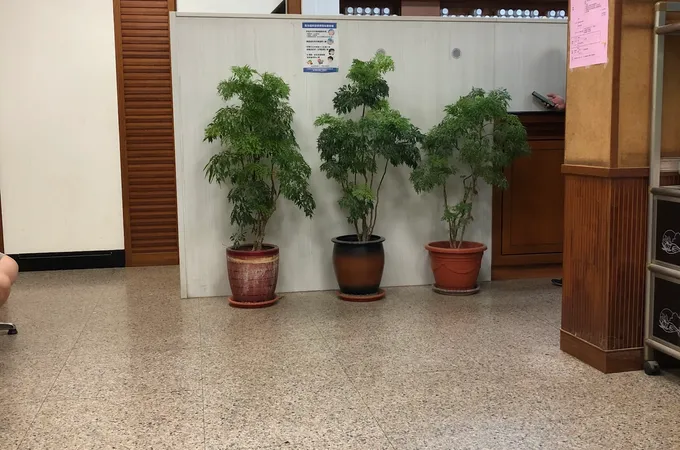 忠義中醫聯合診所 照片 2