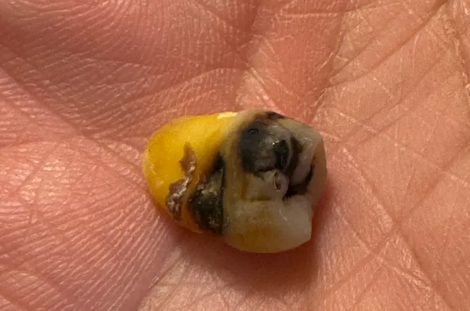 卓越牙醫診所 照片 8