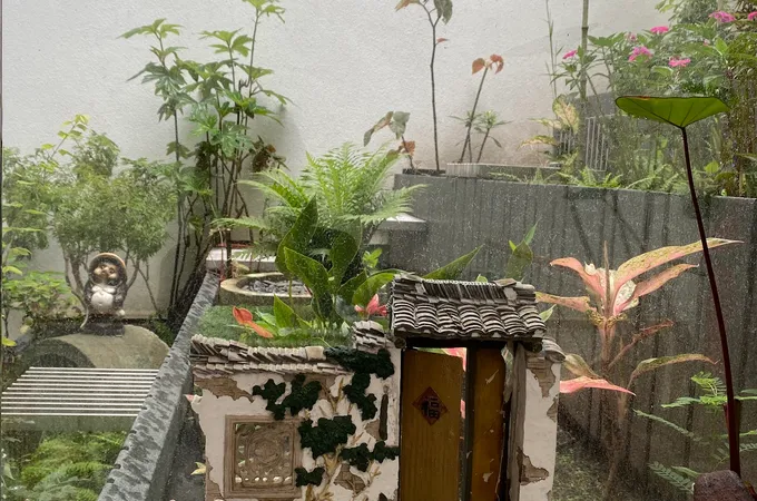 光禾中醫診所 照片 4