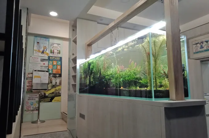 德幼小兒科診所 照片