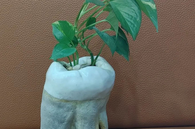 吉利牙醫診所 照片