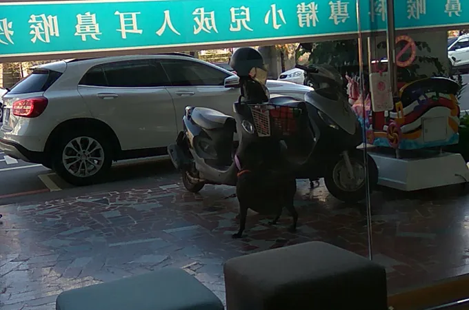 宏安耳鼻喉科診所 照片 10