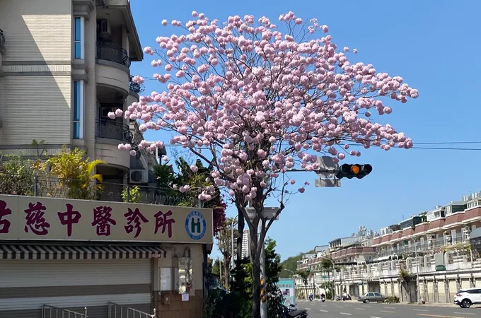 佑慈中醫診所 照片