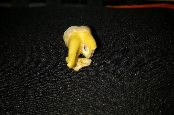 苓雅牙醫診所 照片