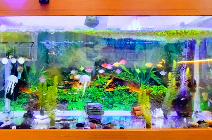 惠民牙醫診所 照片 7