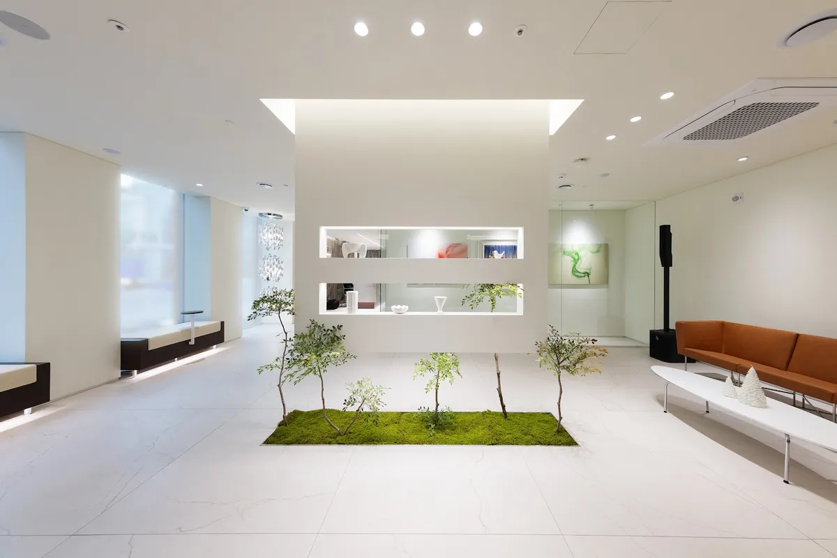 Cheongdam Anne 診所 照片 1