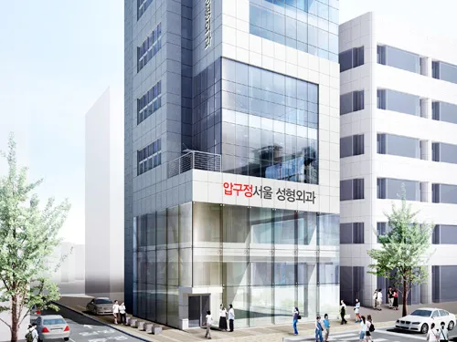 Apgujeong Seoul Plastic Surgery 照片 1