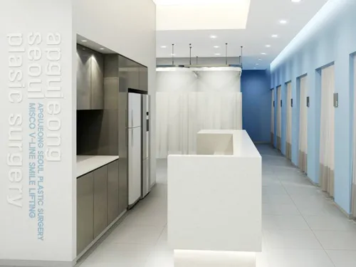 Apgujeong Seoul Plastic Surgery 照片 3