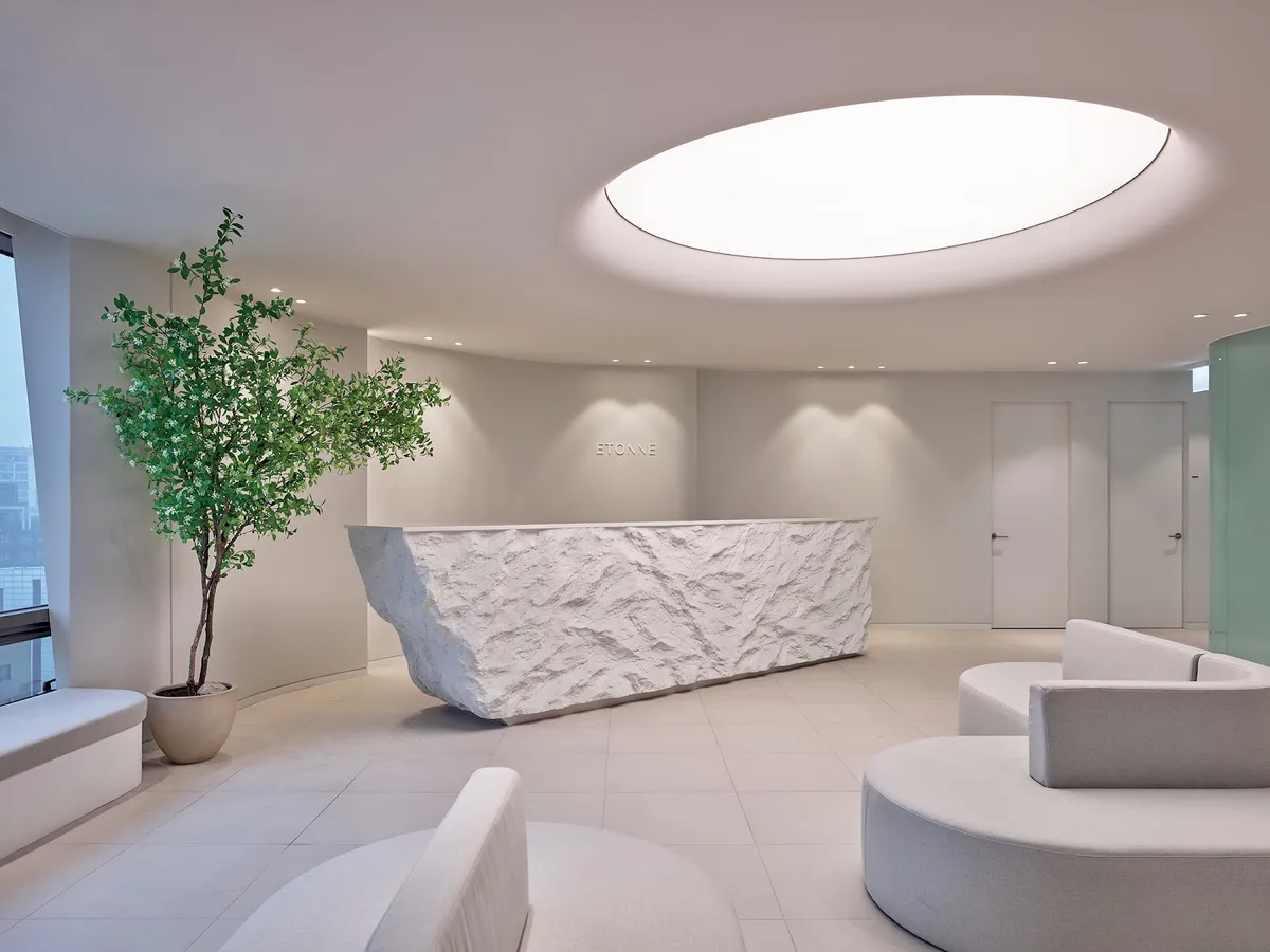 Etonne Plastic Surgery Clinic 照片 1