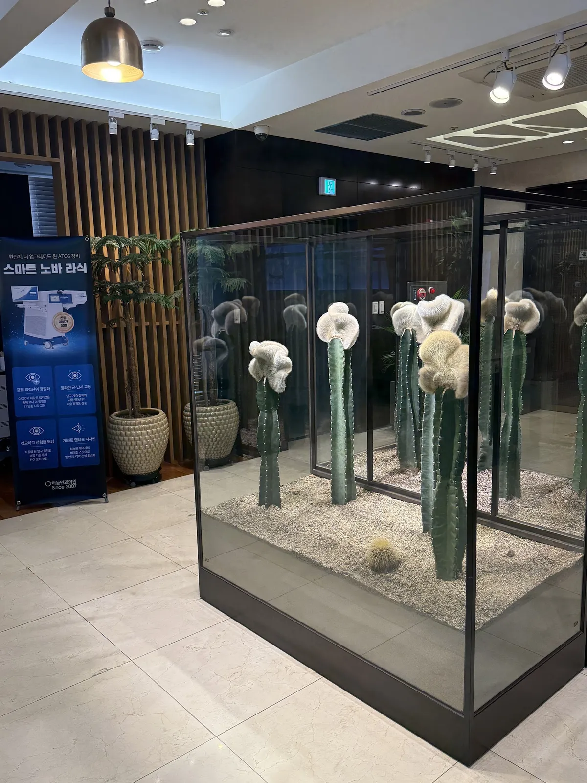 Sky Eye Clinic 照片 2