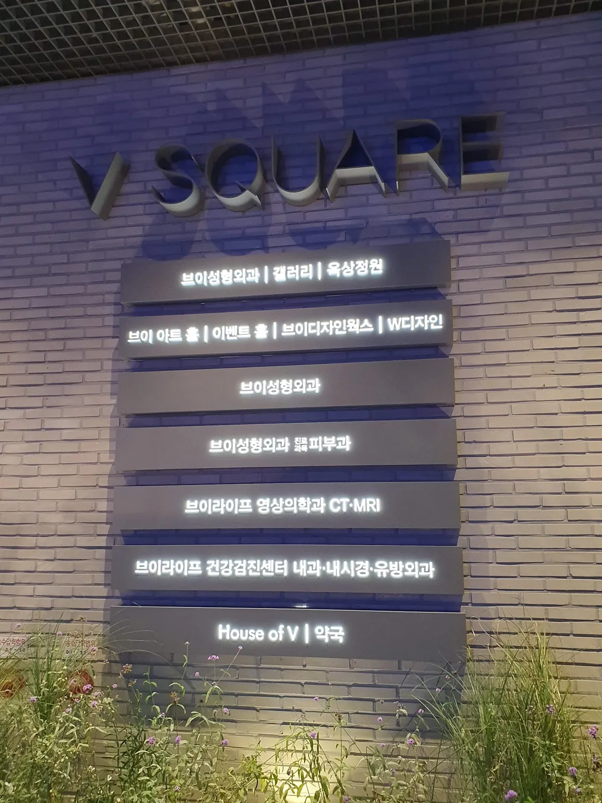 브이성형외과의원 照片 4