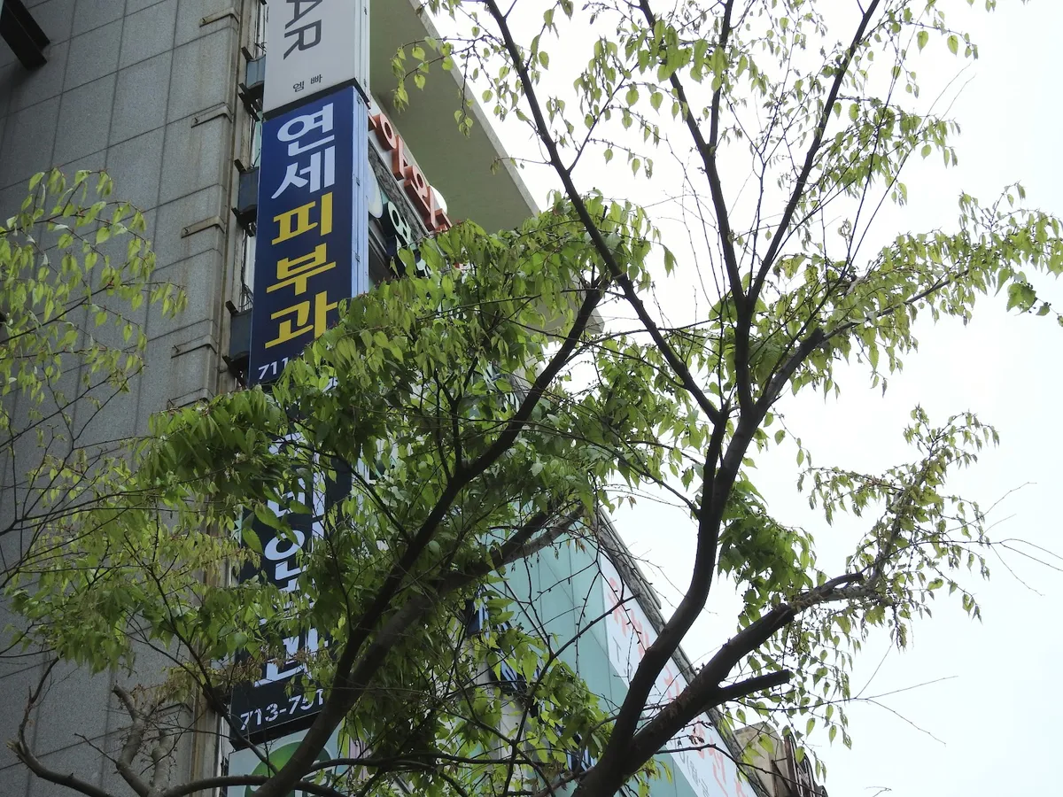 Yonsei 皮膚科-老衡洞 照片 4