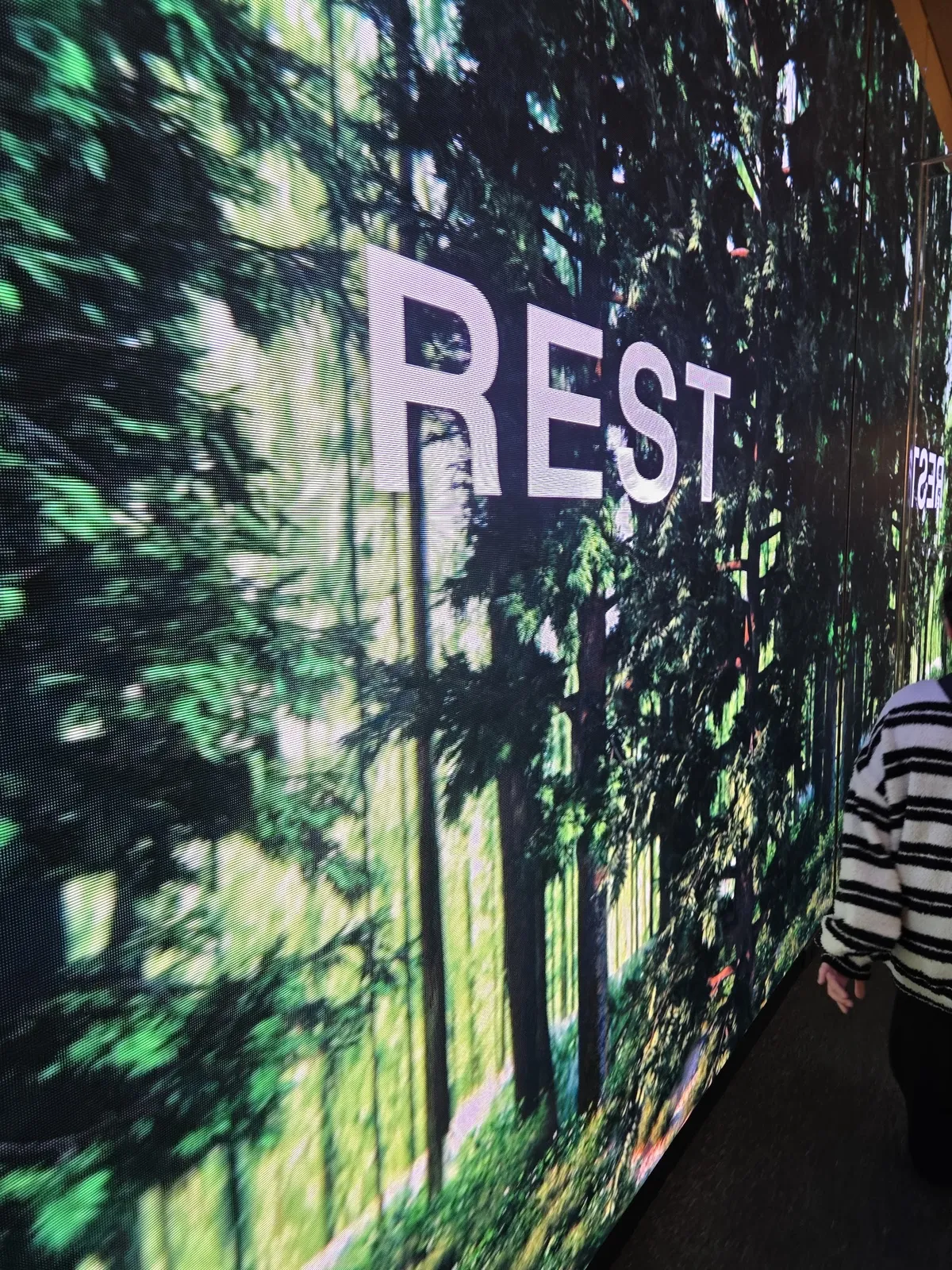 REST 診所 照片 4