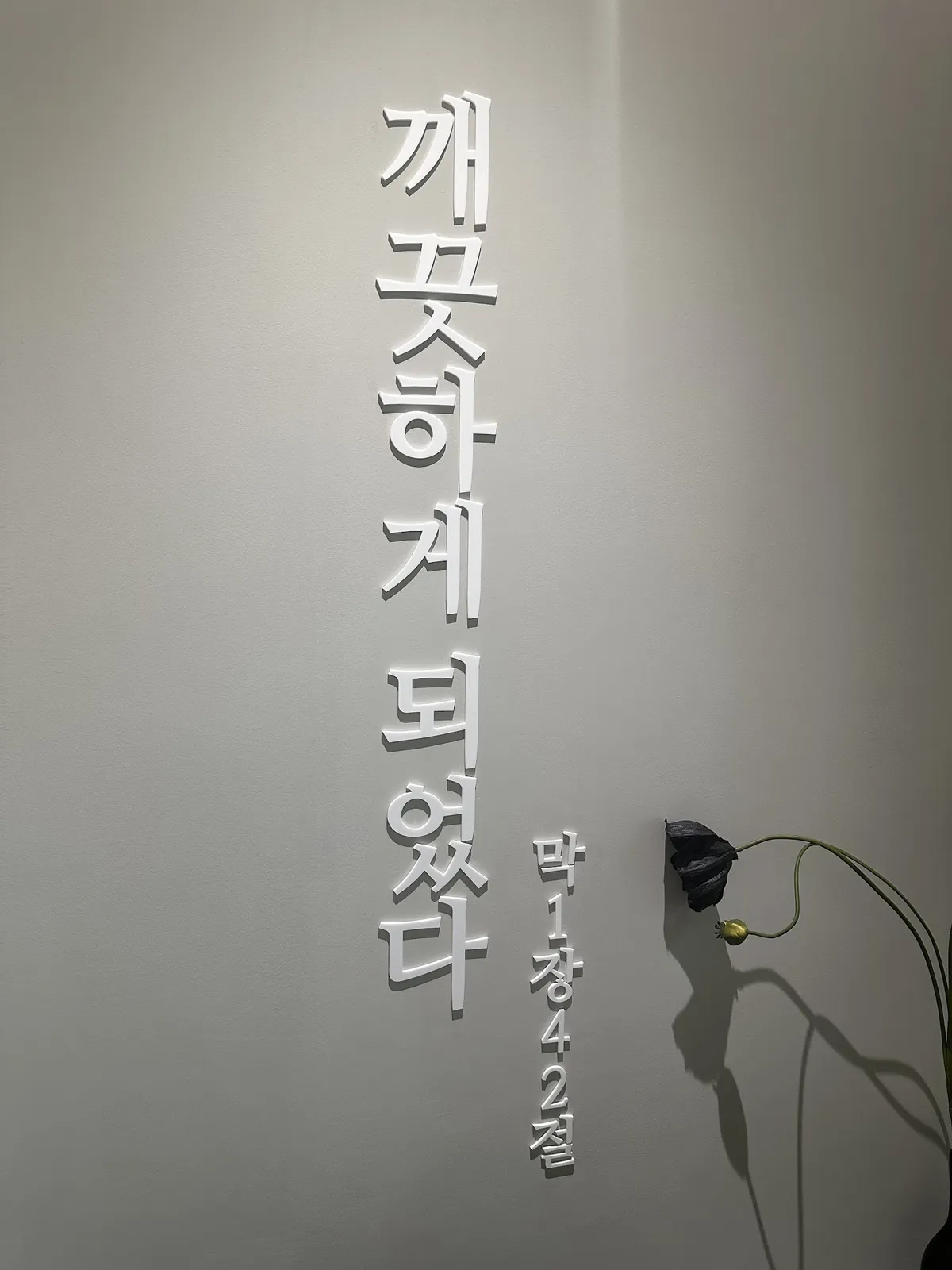 Baradeon 皮膚科 照片 5