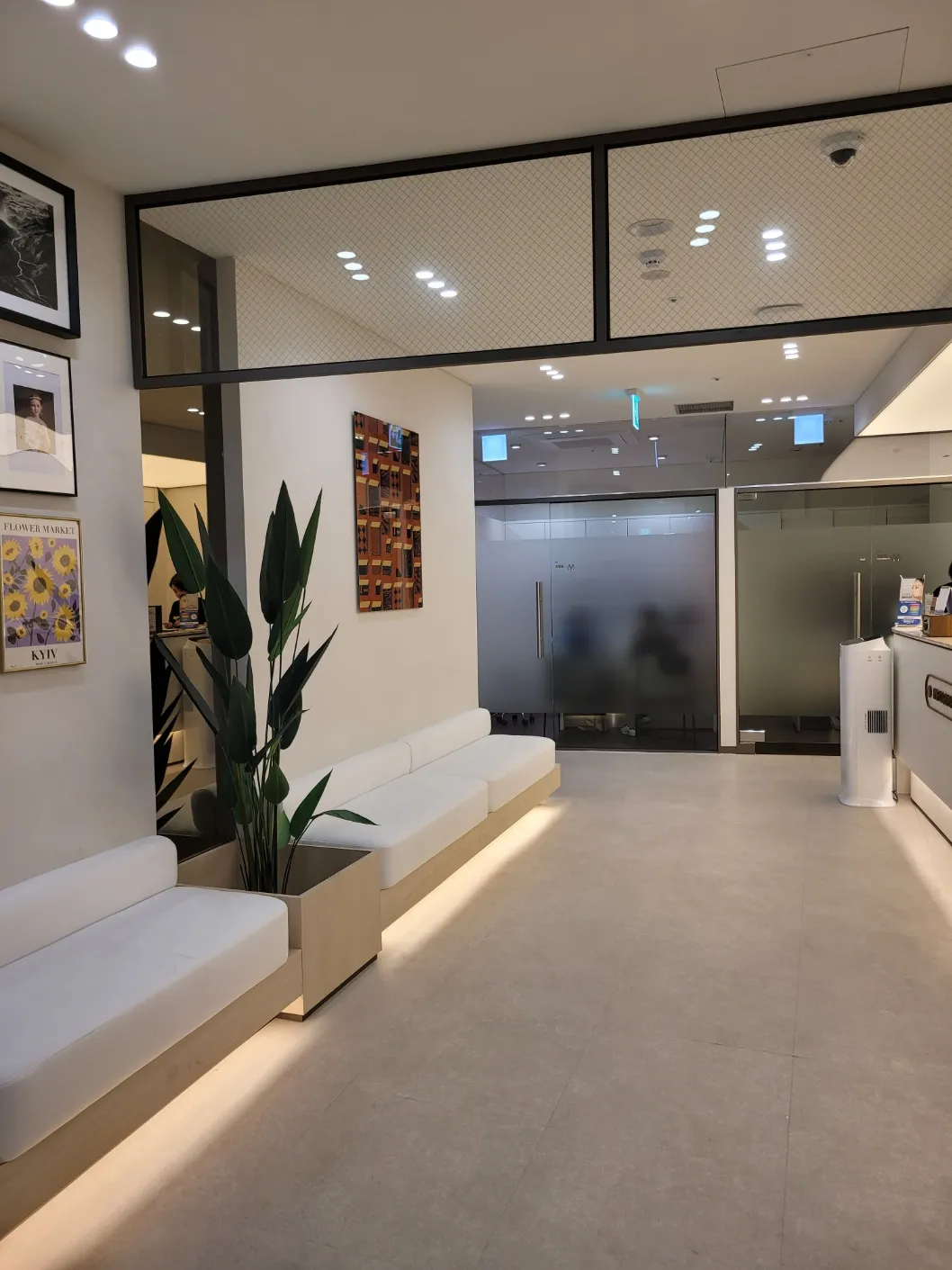 The Seroi Plastic & Aesthetic Surgery 照片 2
