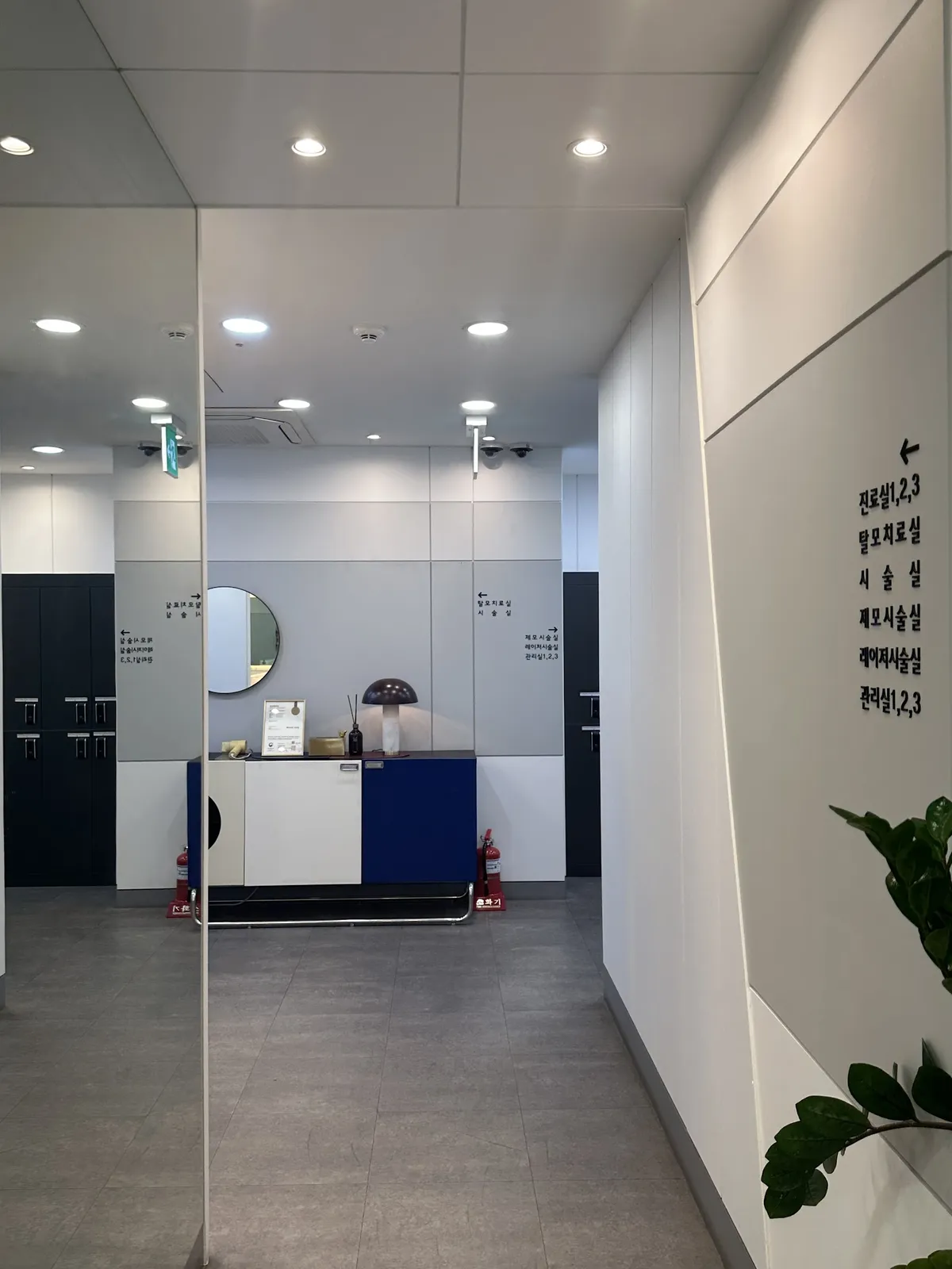 Mirror Clinic 照片 2