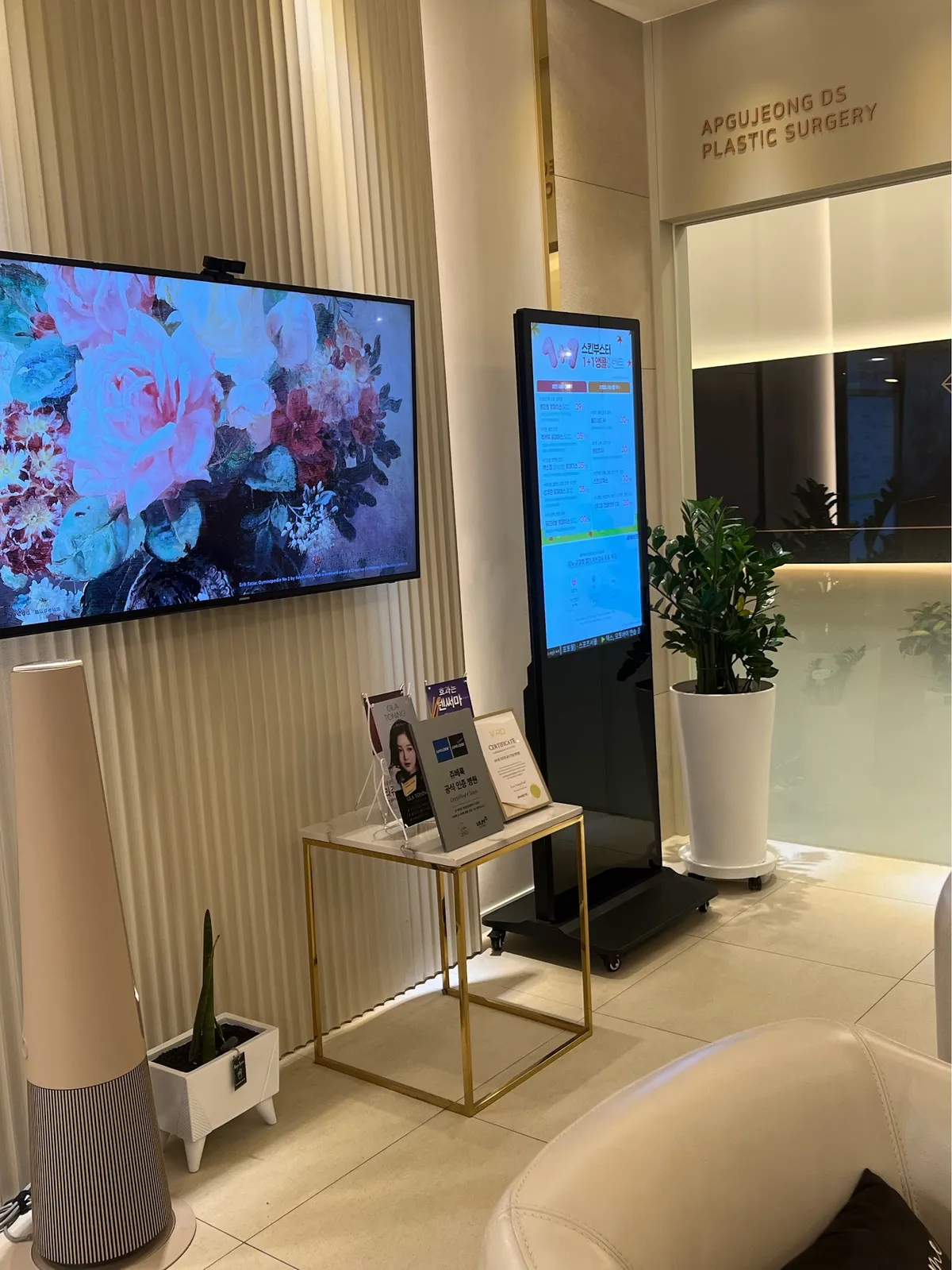 Apgujeong DS 整形外科 照片 4