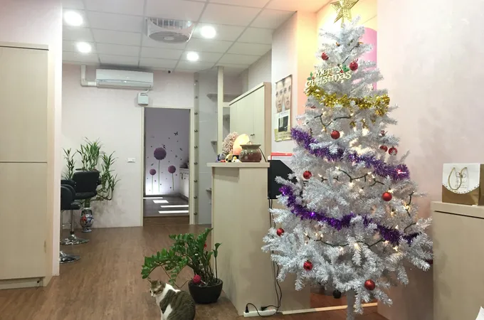 桃統書拉密美學診所