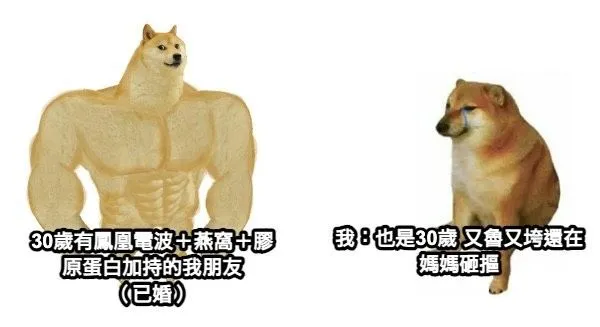 鳳凰電波真的有辦法維持一年嗎？