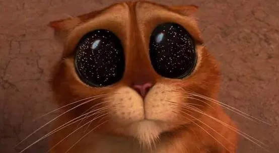 臉越來越鬆該打電波還音波？求推薦台北中正區醫美🙏