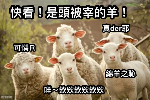 比起追新療程，我更想固定存膠原：先童顏針再做電音波真的比較省嗎？